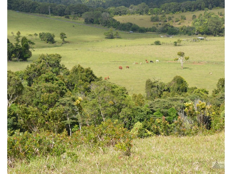 Millaa Millaa QLD 4886