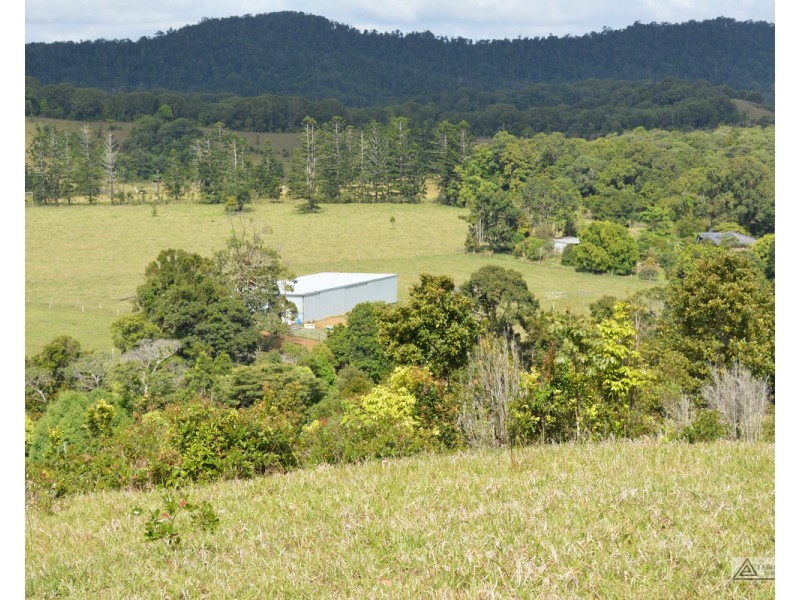 Millaa Millaa QLD 4886