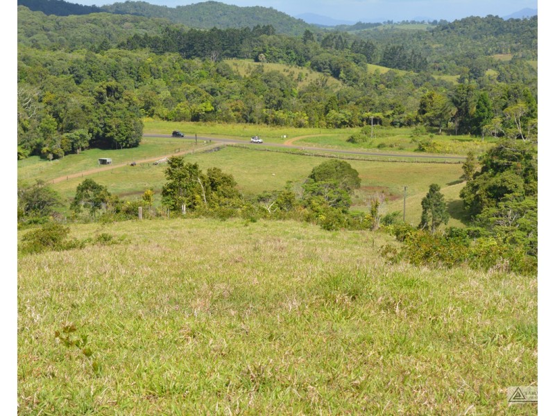 Millaa Millaa QLD 4886