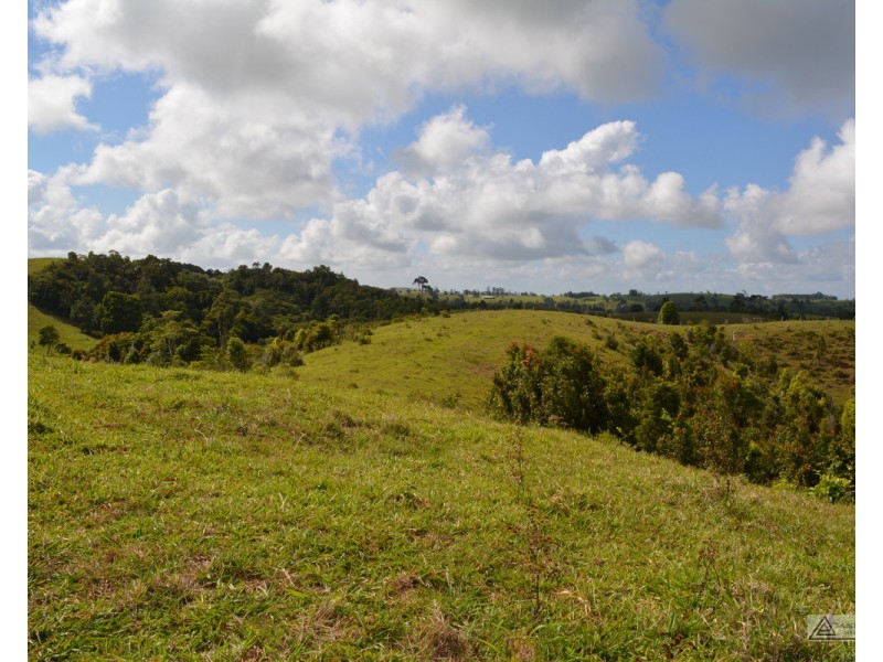 Millaa Millaa QLD 4886