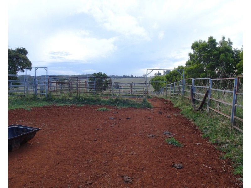 Ravenshoe QLD 4888