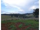 Ravenshoe QLD 4888
