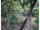 Ravenshoe QLD 4888