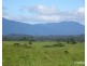 Malanda QLD 4885