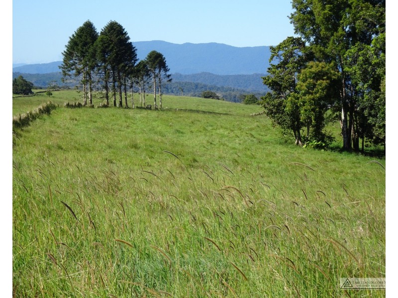 Malanda QLD 4885