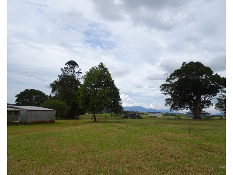 Lake Eacham QLD 4884