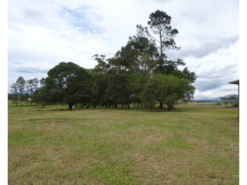 Lake Eacham QLD 4884