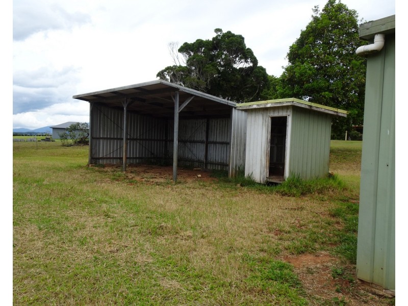 Lake Eacham QLD 4884