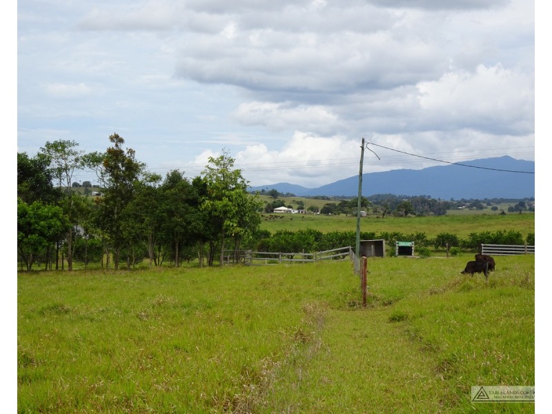 Lake Eacham QLD 4884
