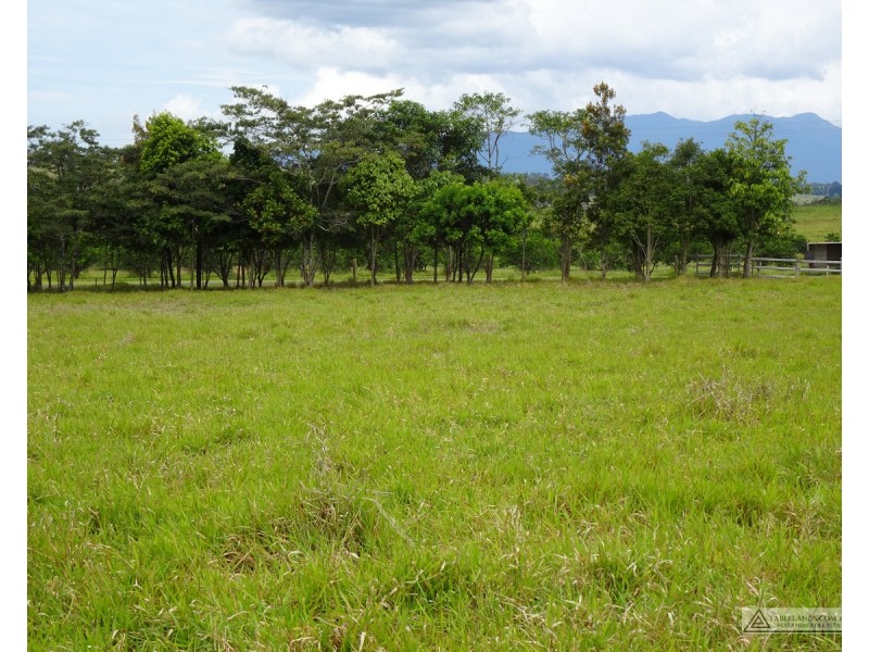 Lake Eacham QLD 4884