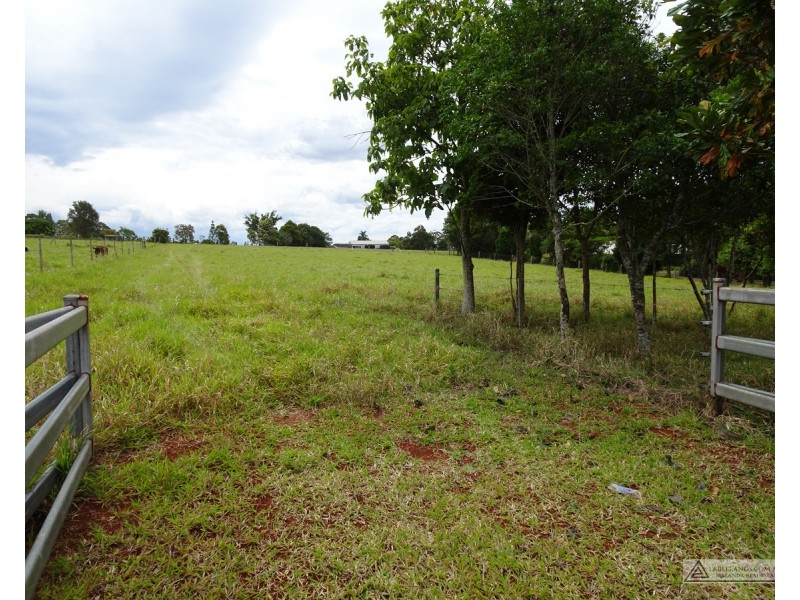 Lake Eacham QLD 4884