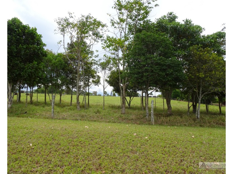 Lake Eacham QLD 4884