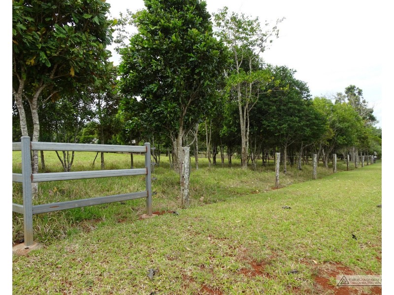 Lake Eacham QLD 4884