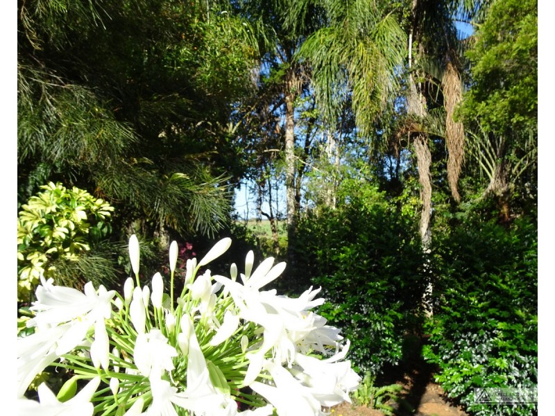 Upper Barron QLD 4883