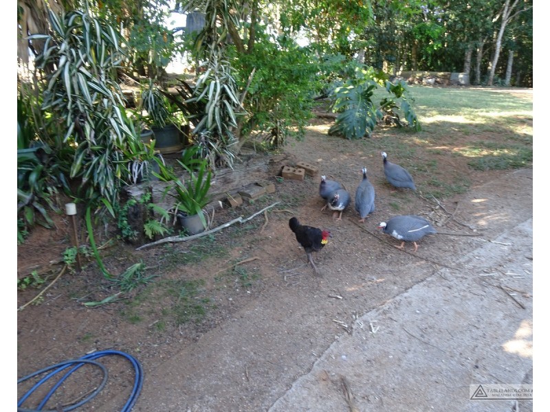 Upper Barron QLD 4883