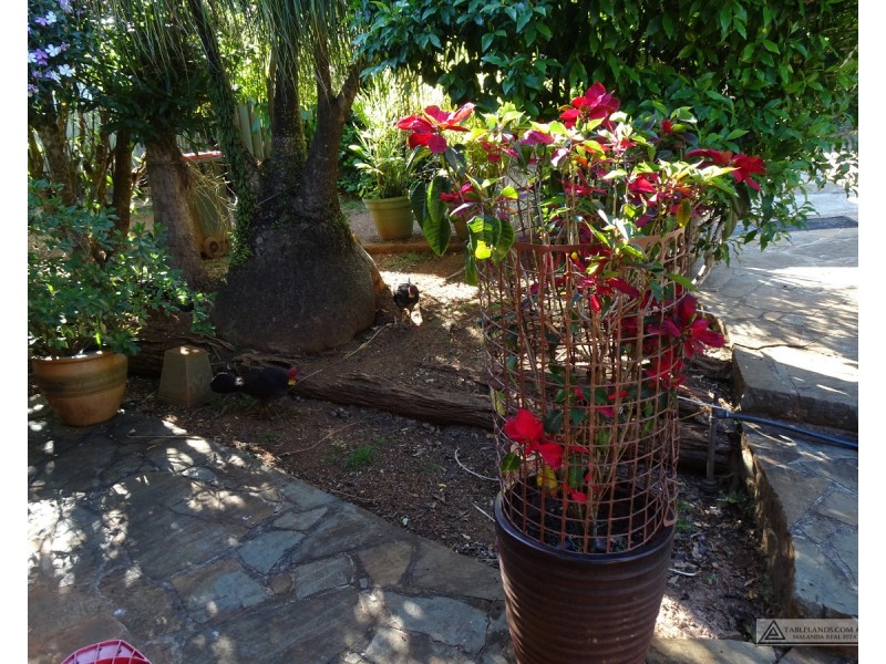 Upper Barron QLD 4883