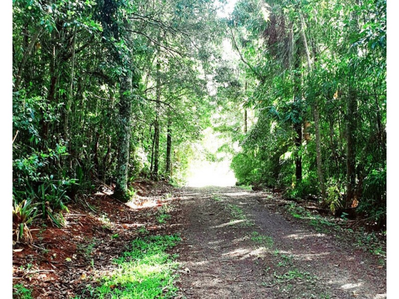 Upper Barron QLD 4883