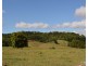 Millaa Millaa QLD 4886