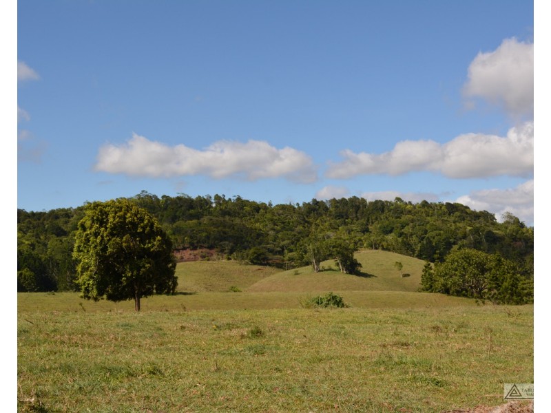 Millaa Millaa QLD 4886
