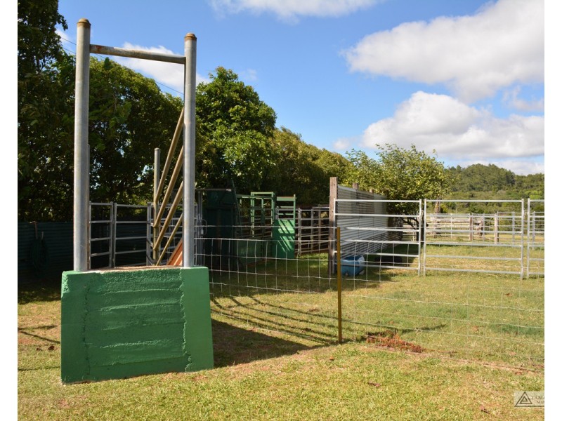 Millaa Millaa QLD 4886