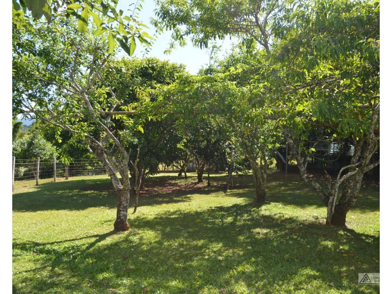 Millaa Millaa QLD 4886