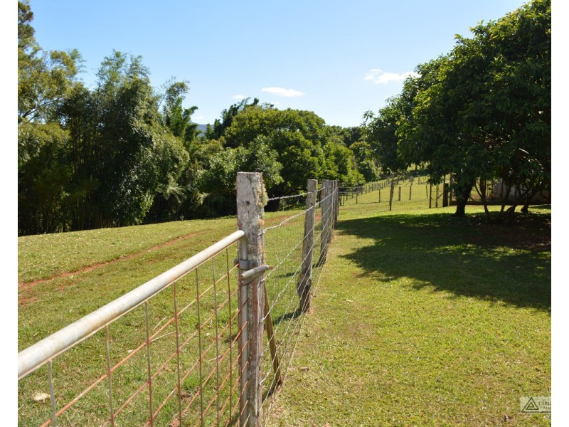 Millaa Millaa QLD 4886