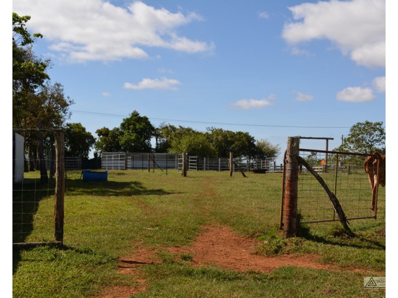 Millaa Millaa QLD 4886