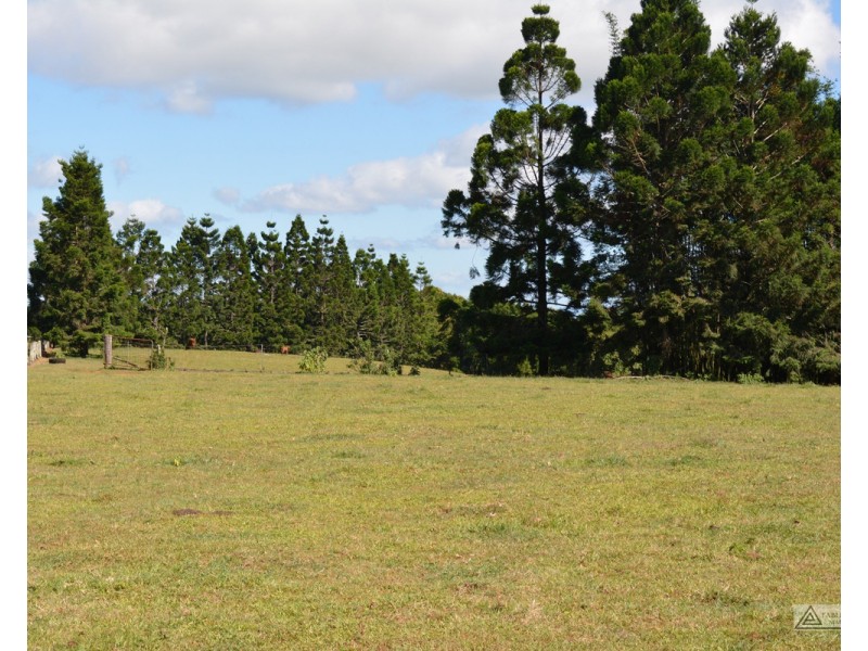 Millaa Millaa QLD 4886