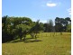 Millaa Millaa QLD 4886