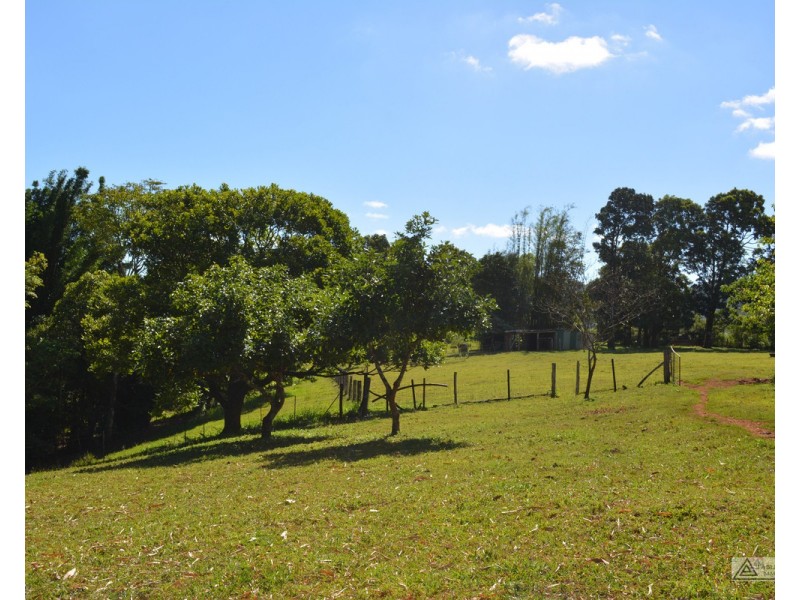 Millaa Millaa QLD 4886