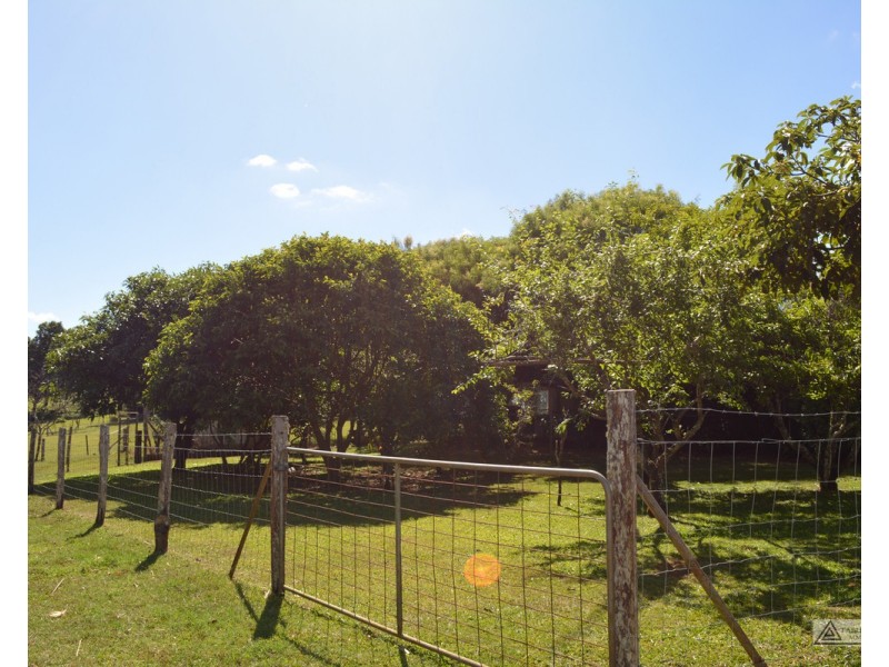 Millaa Millaa QLD 4886