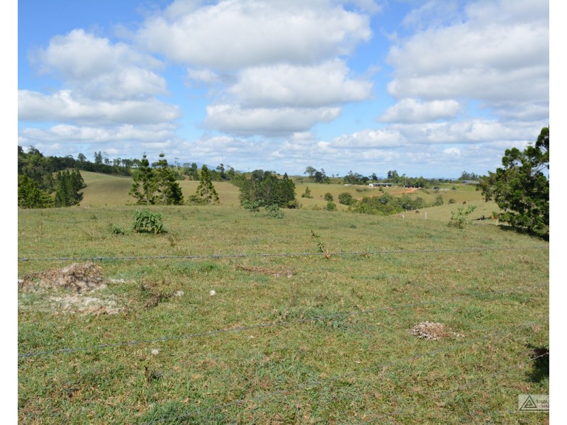 Millaa Millaa QLD 4886