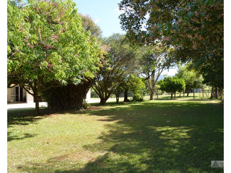 Millaa Millaa QLD 4886