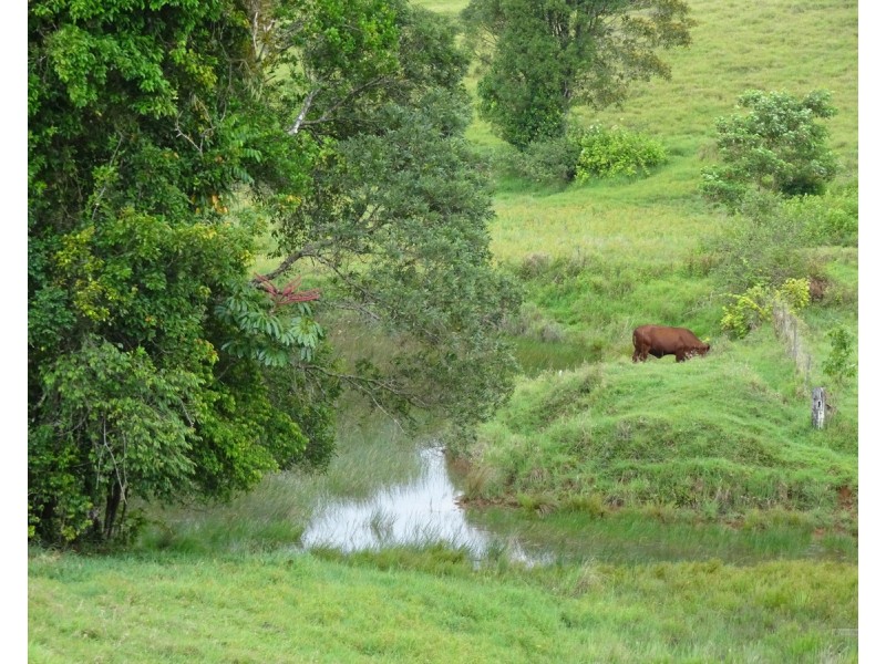 F1077 84 Candow Road, Topaz QLD 4885