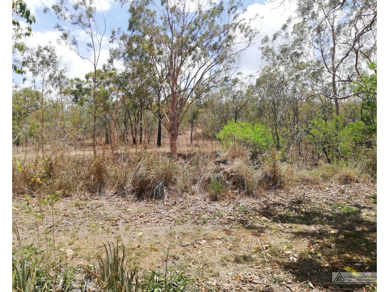Mount Garnet QLD 4872
