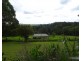 Tarzali QLD 4885