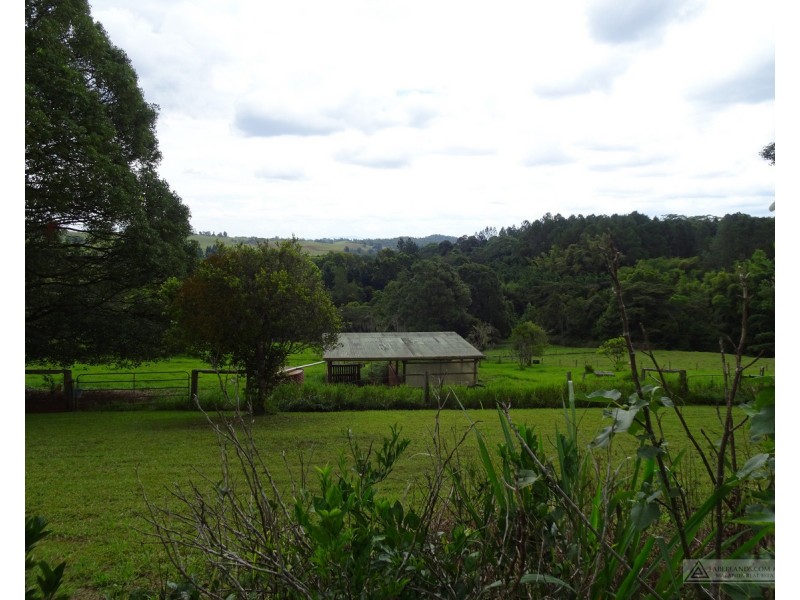 Tarzali QLD 4885