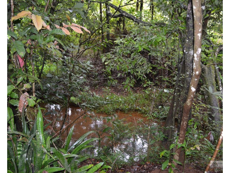 Malanda QLD 4885