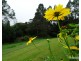 Malanda QLD 4885