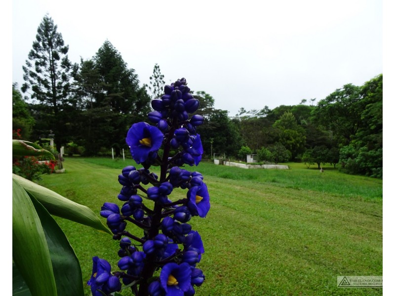 Malanda QLD 4885