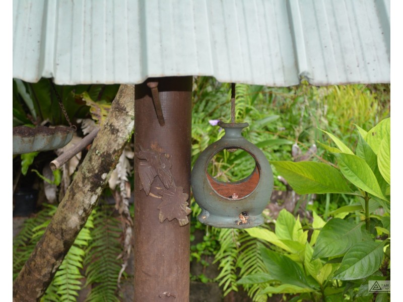 Malanda QLD 4885