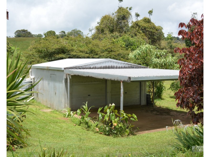 Millaa Millaa QLD 4886