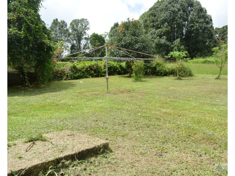 Millaa Millaa QLD 4886