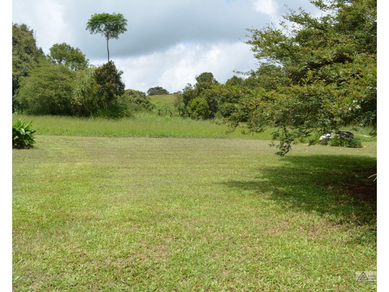 Millaa Millaa QLD 4886