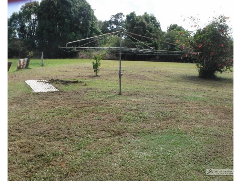 Millaa Millaa QLD 4886