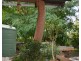 Millstream QLD 4888