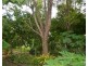 Millstream QLD 4888