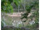 Millstream QLD 4888