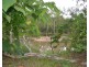 Millstream QLD 4888