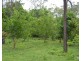 Millstream QLD 4888